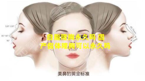 自脂隆胸永久吗 国产假体隆胸可以永久吗